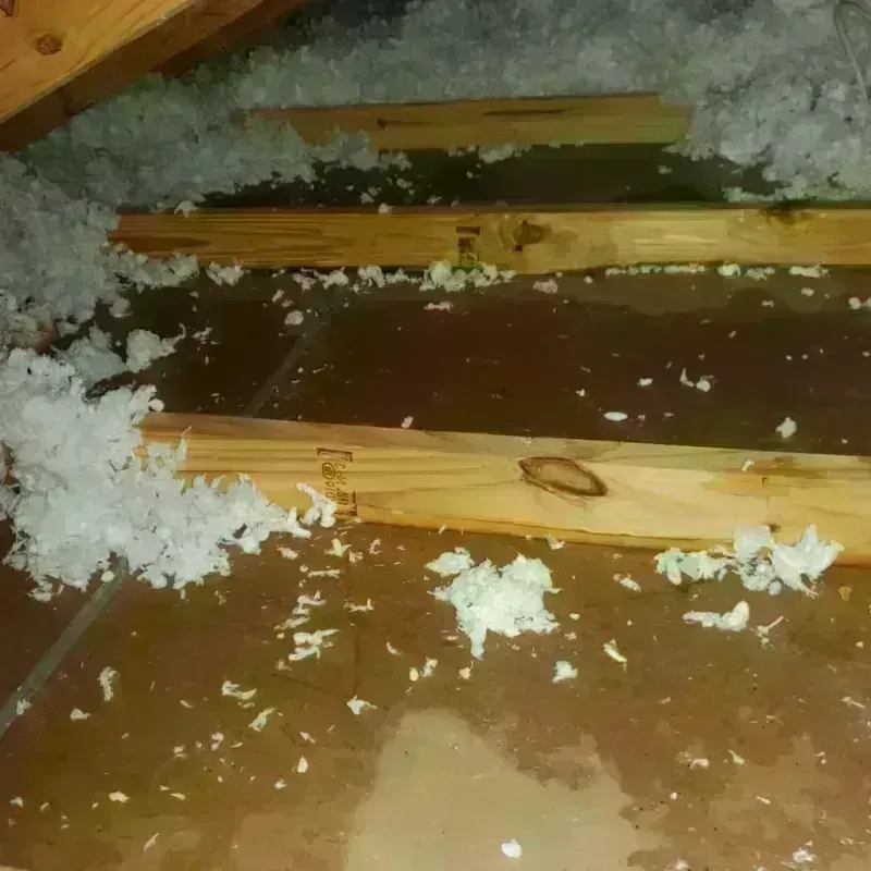 Attic Water Damage in La Vernia, TX